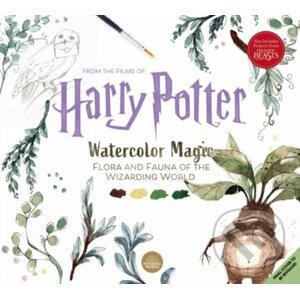 Harry Potter Watercolour Wizardry - Tugce Audoir