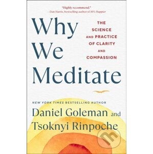 Why We Meditate - Daniel Goleman, Tsoknyi Rinpoche