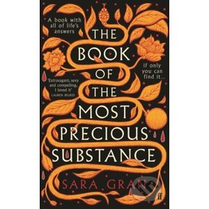 The Book of the Most Precious Substance - Sara Gran