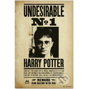 Plagát Harry Potter: Nežiadúci No.1 - Harry Potter