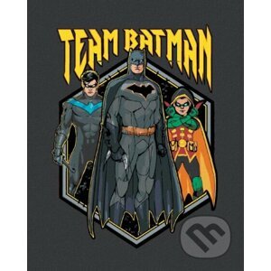 Malování podle čísel: Batman - Team - Zuty
