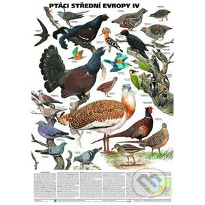 Plakát - Ptáci střední Evropy 4. díl - Scientia