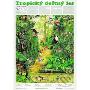 Plakát - Tropický deštný les - Scientia