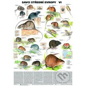 Plakát - Savci střední Evropy VI. - Myšovití,hrabošovití a myšivkovití - Scientia