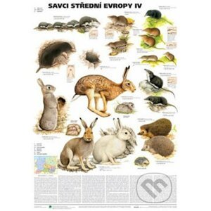 Plakát - Savci střední Evropy IV. - Hmyzožravci, zajíci - Scientia