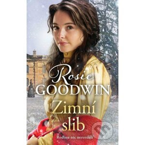 E-kniha Zimní slib - Rosie Goodwin