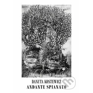 E-kniha Andante spianato - Danuta Kostewicz