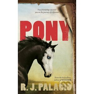 Pony - Raquel Jaramillo Palacio