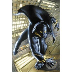 Black Panther Omnibus 1 - Christopher Priest, Mark Texeira (ilustrátor), Vince Evans (ilustrátor), Joe Jusko (ilustrátor), Mike Manley (ilustrátor)