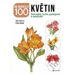 Jak nakreslit 100 květin - Kolektiv