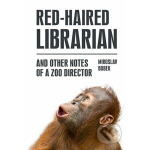 Red-haired Librarian - Miroslav Bobek