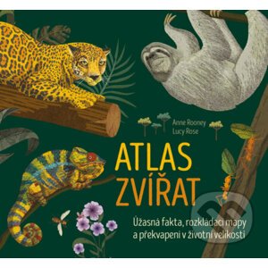 Atlas zvířat - Anne Rooney, Lucy Rose (ilustrátor)