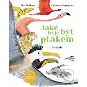 Jaké to je být ptákem - Tim Birkhead, Catherine Rayner