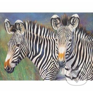 Malování podle čísel - zebry - Royal & Langnickel