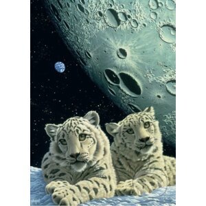 Schim Schimmel - Lair of the Snow Leopard - Grafika