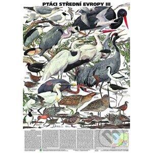 Plakát - Ptáci střední Evropy 3. díl - Scientia