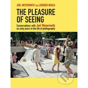 The Pleasure of Seeing - Lorenzo Braca, Joel Meyerowitz