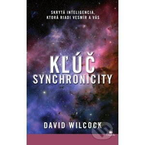 Kľúč synchronicity - David Wilcock