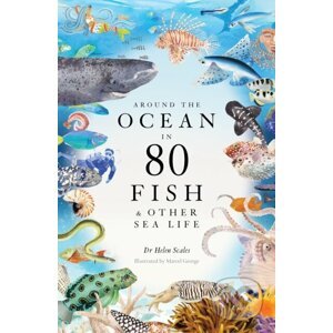 Around the Ocean in 80 Fish and other Sea Life - Helen Scales, Marcel George (Ilustrátor)