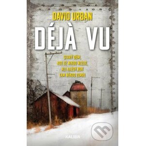 E-kniha Déja vu - David Urban