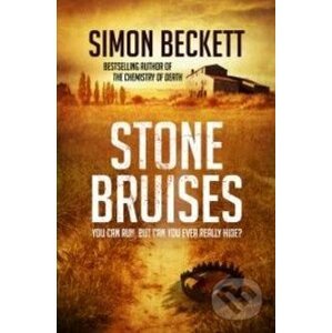 Stone Bruises - Simon Beckett