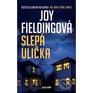 E-kniha Slepá ulička - Joy Fielding