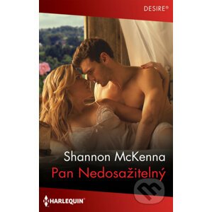 E-kniha Pan Nedosažitelný - Shannon McKenna