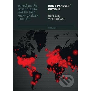 E-kniha Rok s pandemií covid-19 - Tomáš Diviák