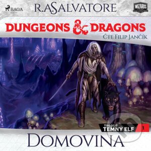 Dungeons & Dragons. Legenda o Drizztovi. Temný elf 1: Domovina - R. A. Salvatore