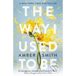 E-kniha The Way I Used to Be - Amber Smith