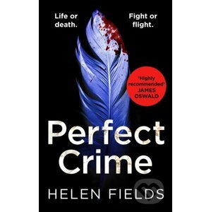 E-kniha Perfect Crime - Helen Fields