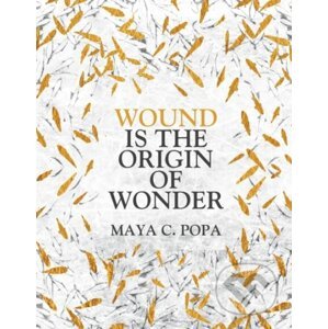 Wound is the Origin of Wonder - Maya C. Popa