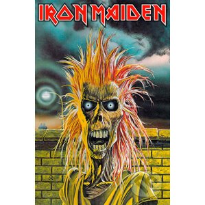Textilný plagát - vlajka: Iron Maiden - Iron Maiden
