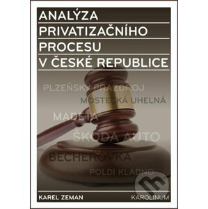 E-kniha Analýza privatizačního procesu v České republice - Karel Zeman