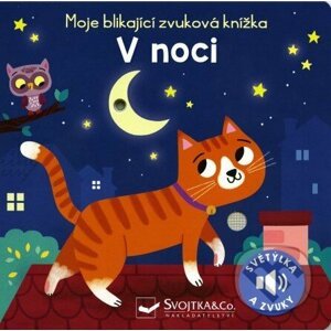 V noci - Svojtka&Co.