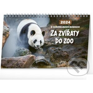 Stolní kalendář Za zvířaty do zoo – Miroslav Bobek 2024 - Notique