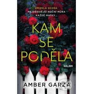 E-kniha Kam se poděla - Amber Garza
