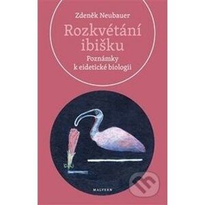 Rozkvétání ibišku - Zdeněk Neubauer