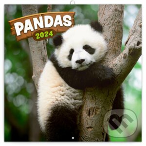 Poznámkový kalendár Pandas 2024 - Notique