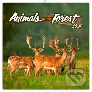 Poznámkový kalendár Animals of The Forest 2024 - Notique
