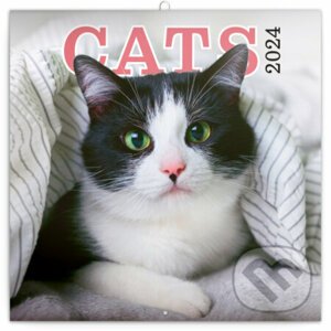 Poznámkový kalendár Cats 2024 - Notique