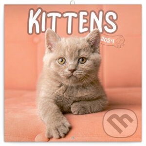 Poznámkový kalendár Kittens 2024 - Notique