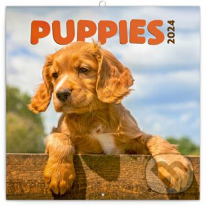 Poznámkový kalendár Puppies 2024 - Notique