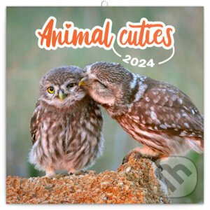 Poznámkový kalendár Animal Cuties 2024 - Notique