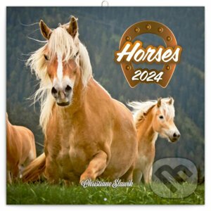 Poznámkový kalendár Horses 2024 - Christiane Slawik