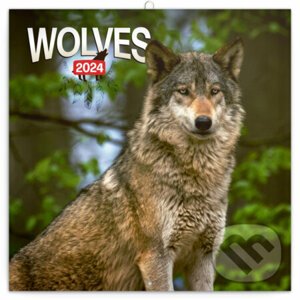 Poznámkový kalendár Wolves 2024 - Notique