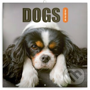 Poznámkový kalendár Dogs 2024 - Notique