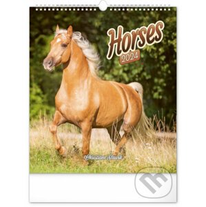 Nástěnný kalendář Horses 2024 - Notique