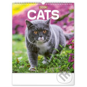 Nástěnný kalendář Cats 2024 - Notique