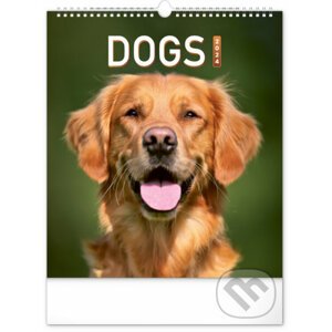 Nástěnný kalendář Dogs 2024 - Notique